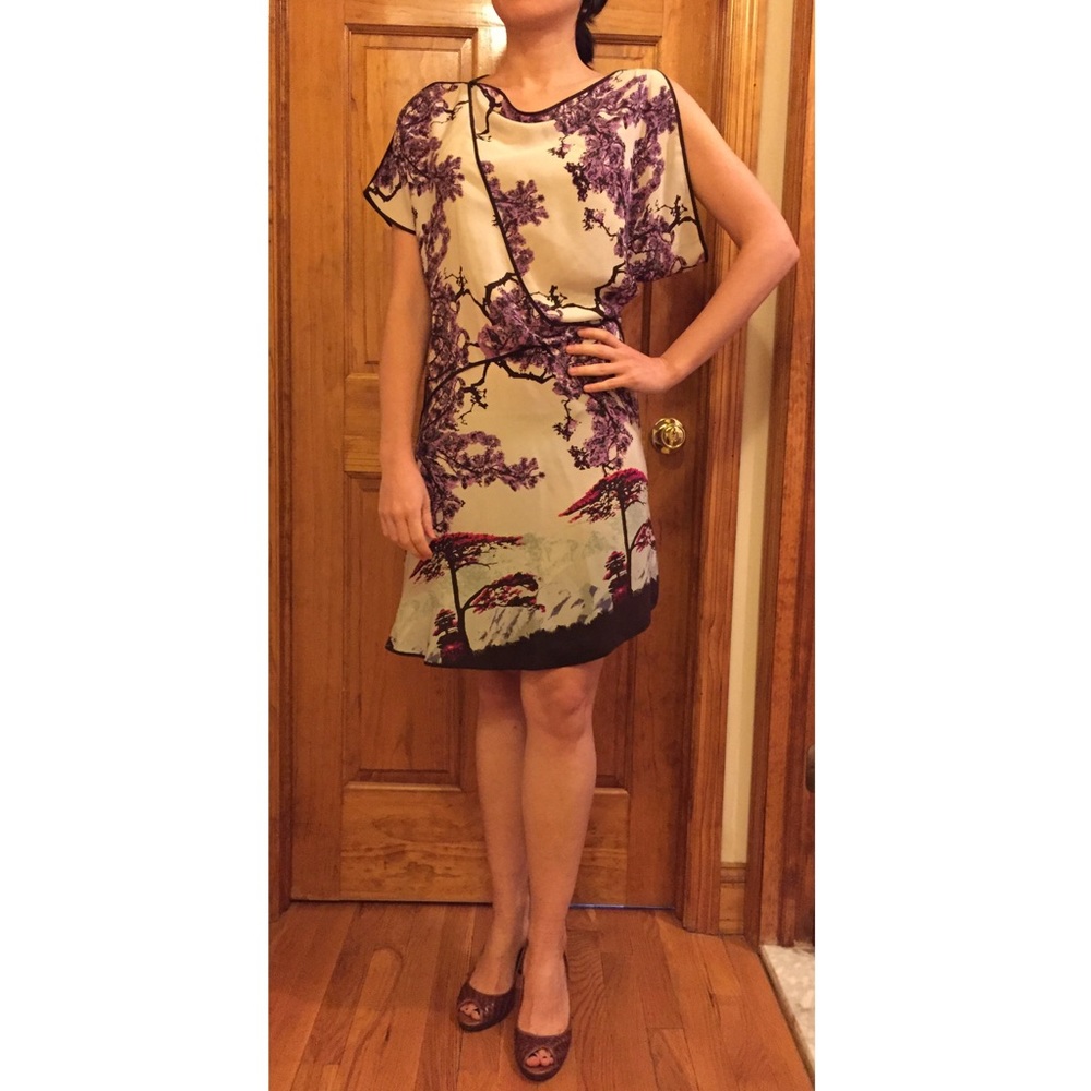 BCBGMaxAzria Japanese Print SILK Dress EUC